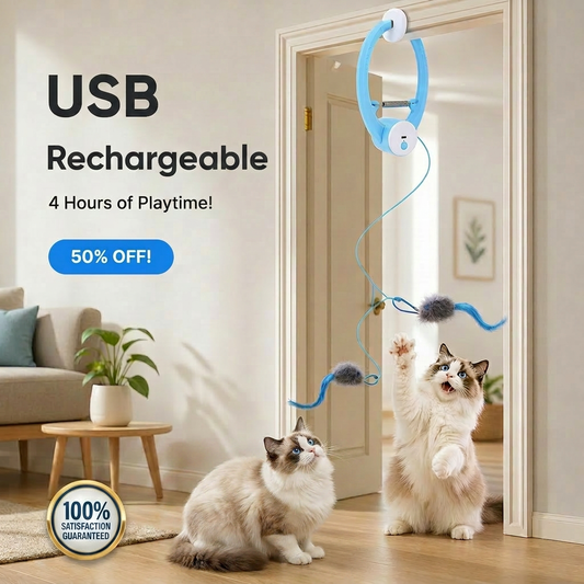 Electric USB Rechargeable Interactive Cat Toy