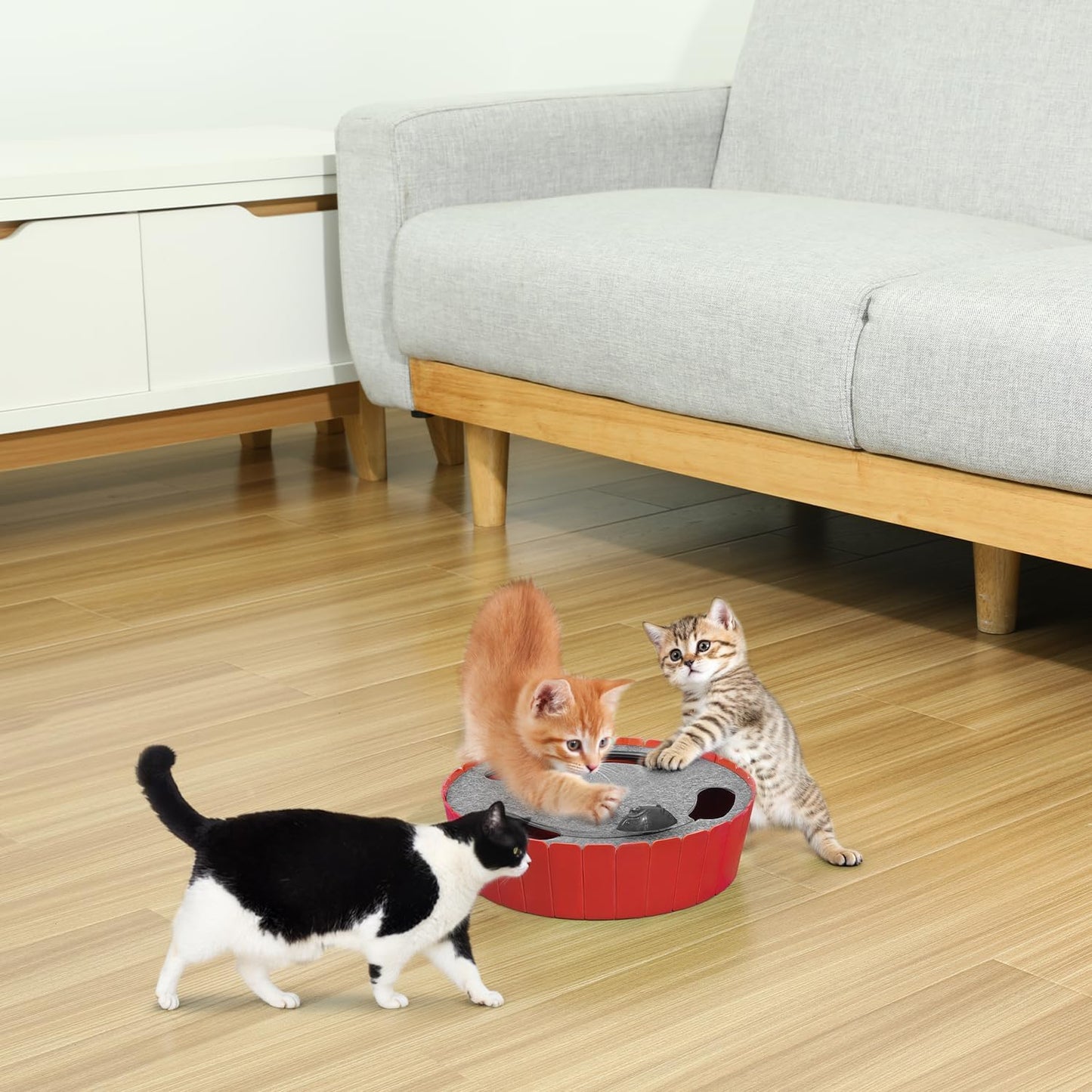 Interactive Cat Toy with Running Mouse, Electronic Motion Cat Toy Automatic Teaser for Indoor Cats, Pop and Play Hide Seek Cats Toys Hunting Mouse for Pet Kitten Play Fun Exercise, Red