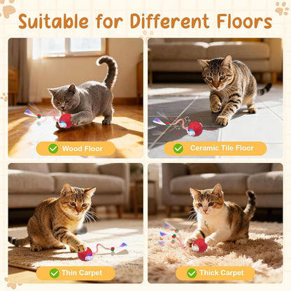 2PCS Interactive Cat Toys for Indoor Cats with 6 Tails, Automatic Cat Toy Fast Rolling on Carpet/ Wooden Floor/ Tiles, Rechargeable Kitten Toys for Small/ Medium/ Large Cats to Enrichment Exercise