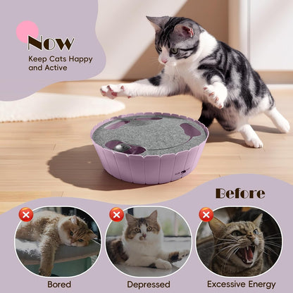 Interactive Cat Toy with Running Mouse, Electronic Motion Cat Toy Automatic Teaser for Indoor Cats, Pop and Play Hide Seek Cats Toys Hunting Mouse for Pet Kitten Play Fun Exercise, Purple