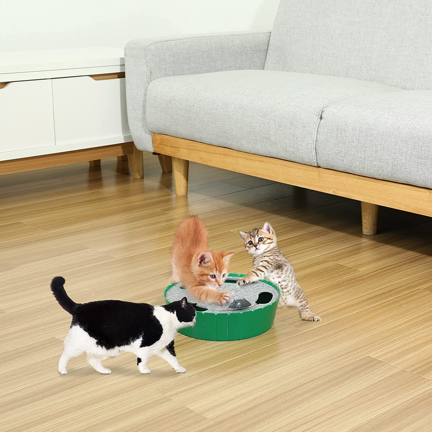Cat Toy with Running Mouse, Motion Cat Toy Teaser for Indoor Cats, Pop and Play Hide Seek Cat Toy Hunting Mouse for Pet Cat Kitten Play Fun Exercise, Green