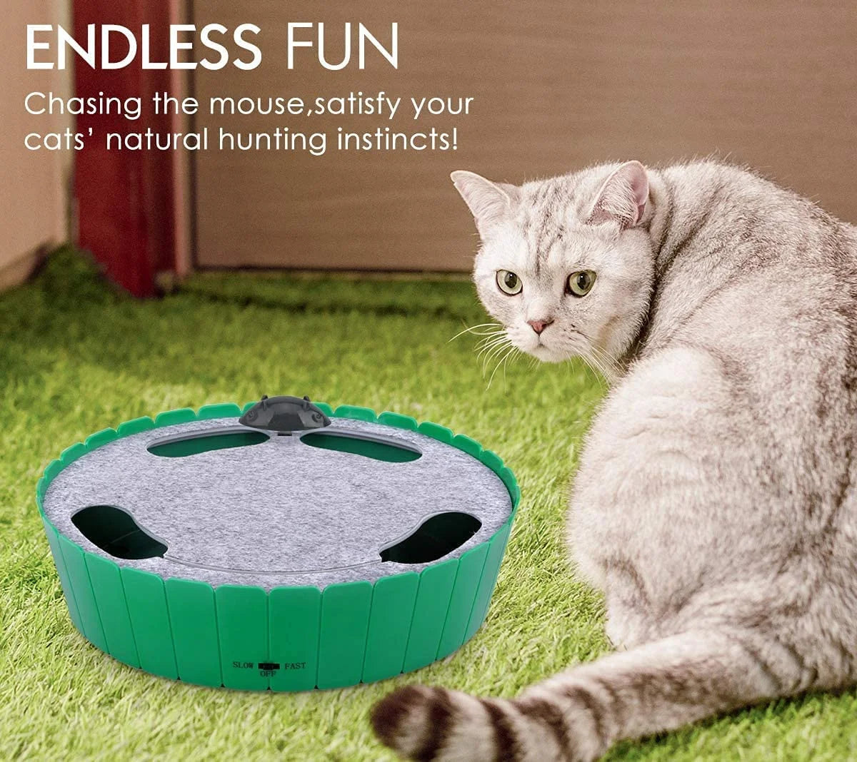 Cat Toy with Running Mouse, Motion Cat Toy Teaser for Indoor Cats, Pop and Play Hide Seek Cat Toy Hunting Mouse for Pet Cat Kitten Play Fun Exercise, Green